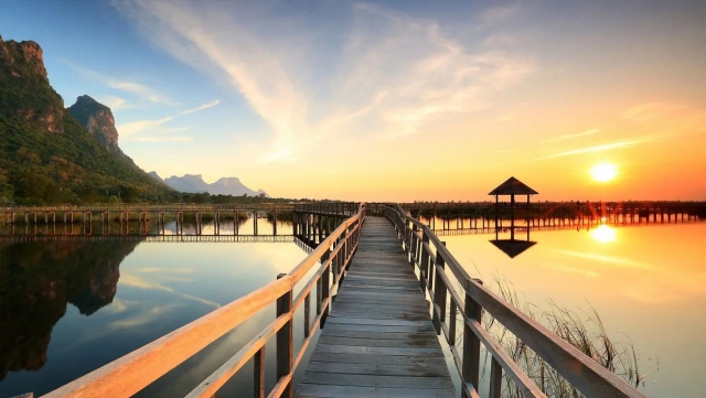 天博·体育登录入口网页版篮球初期训练器材