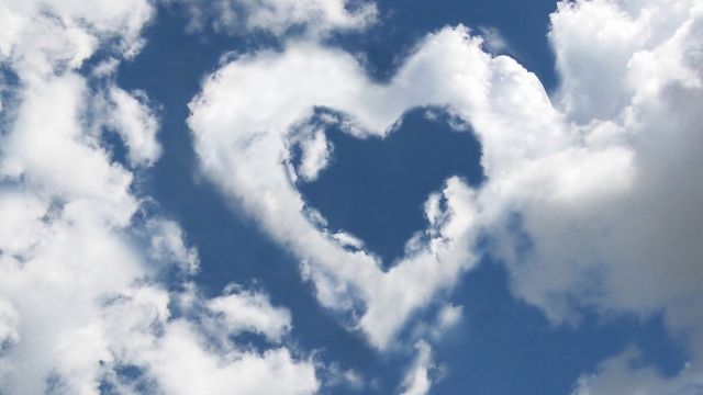 天博·体育登录入口网页版可收起乒乓球台的球杆有哪些